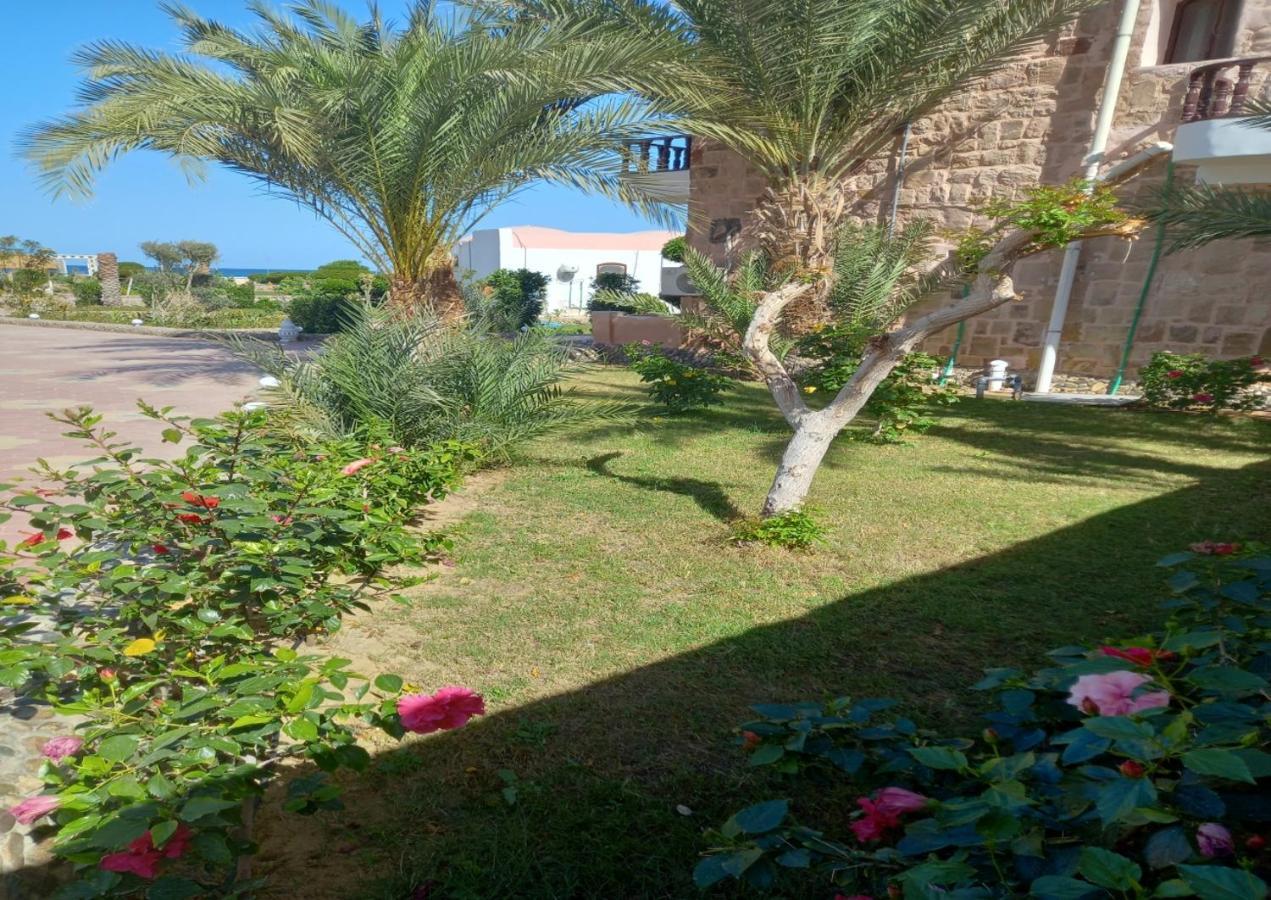 Dolphin Continental Hotel El Qoseir Zewnętrze zdjęcie