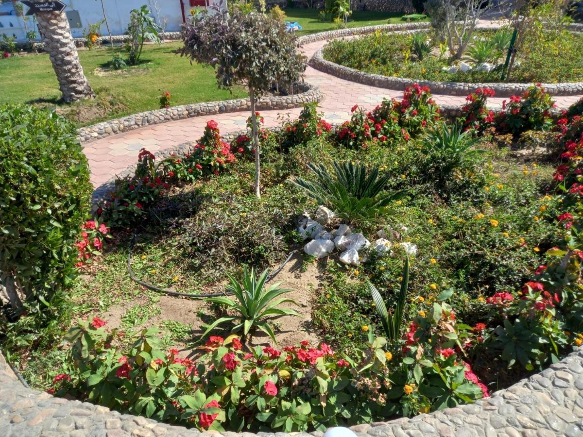 Dolphin Continental Hotel El Qoseir Zewnętrze zdjęcie